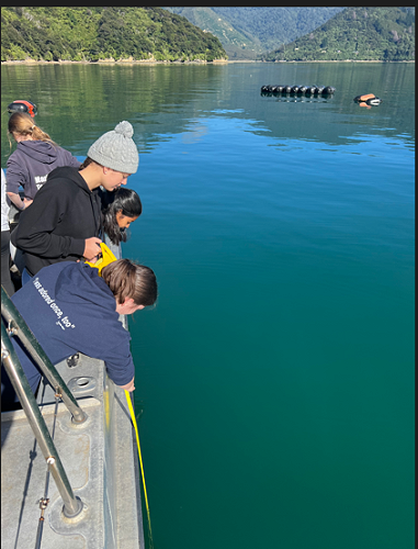 STA301 - Statistics in the community