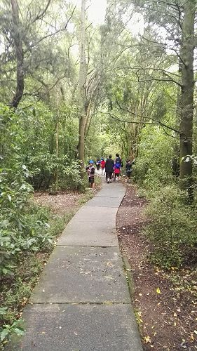 Riccarton House & Riccarton Bush - Team Harakeke - 2017