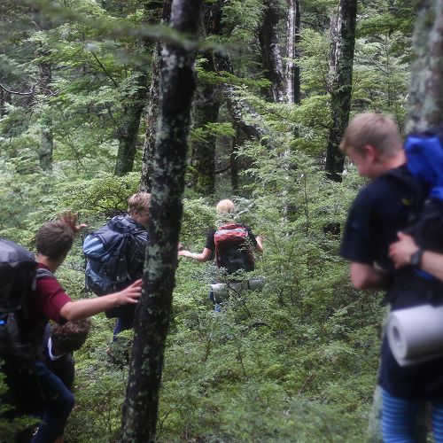 Heading down through the bush... at speed!