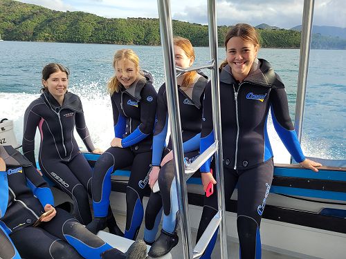 Learning to Dive 2023