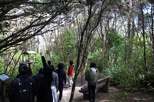 International Summer School