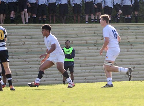 1st XV vs New Plymouth Boys' High School