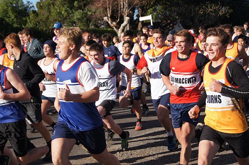 They're off - the senior cross country begins