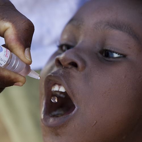A child being Polio vaccinated