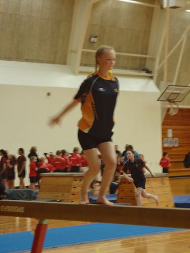 Gymnastics Festival 2016