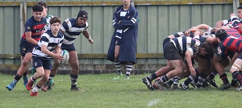 2nd XV v Hastings Boys' High School