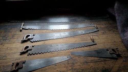 Riccarton House & Riccarton Bush - Team Harakeke - 2017