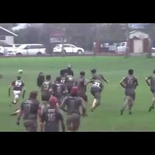 Video: video 1659820983