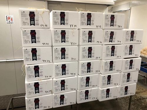 Polybins ready in Hobart for the first pack of the season.