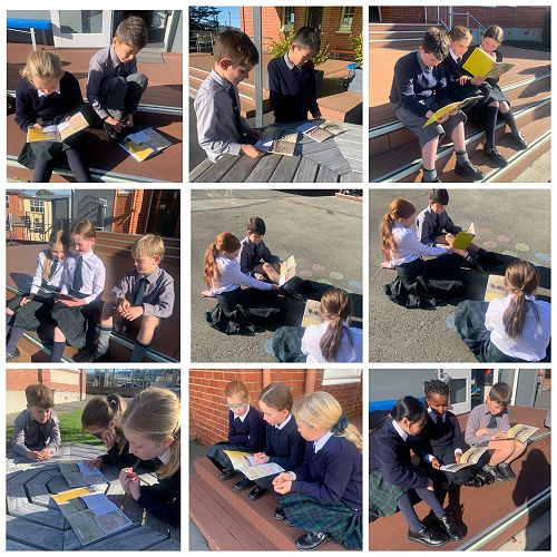 The Year 6 class enjoying reading articles on the Chinese Gold Rush outside in the sun