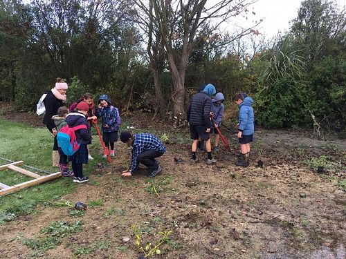 Planting Trees in the Red Zone (Homeroom 13 & 23)