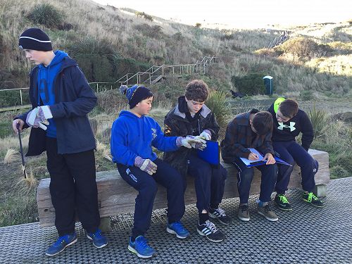 Planting for Penguins