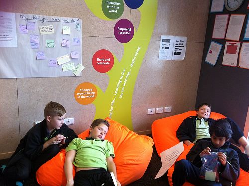Resting up at the sleep station!