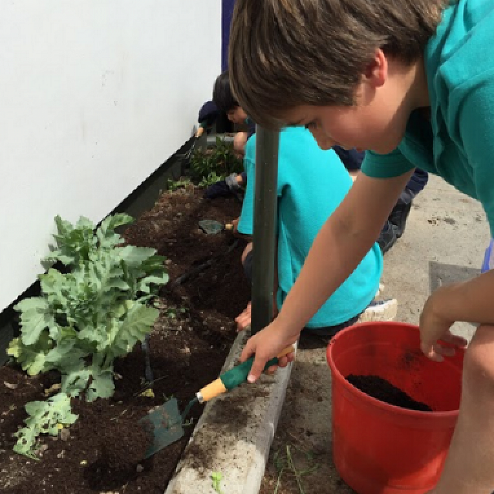 What are Action Stations? — Newsletter 10 December 2015