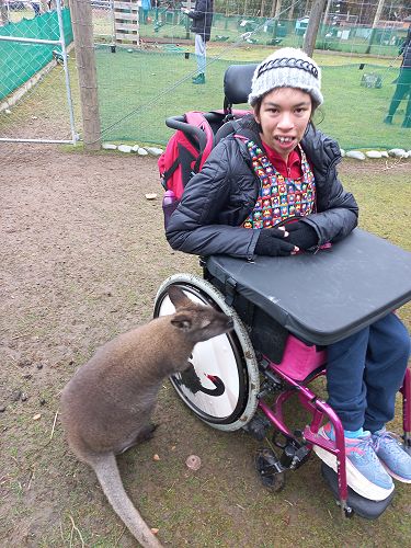 Daisy getting friendly with Mr Wallaby.