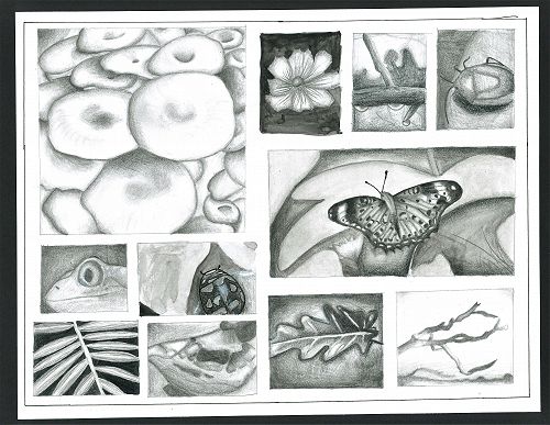 Pippa Flett grid drawing