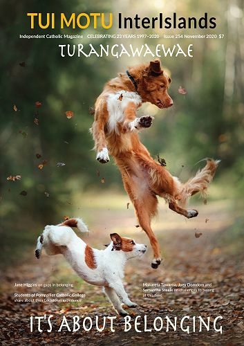 Cover: Issue 254 November 2020