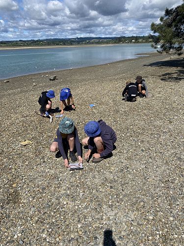 Identifying different marks in the sand - who done it??