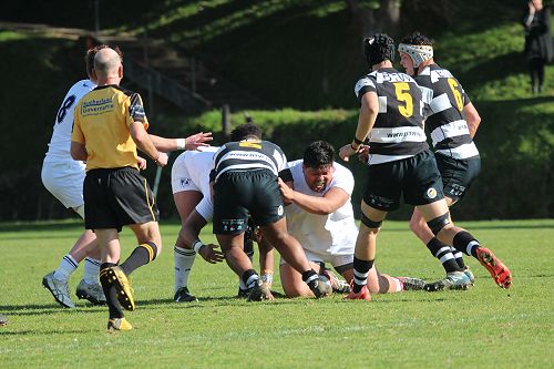 1st XV vs New Plymouth Boys' High School