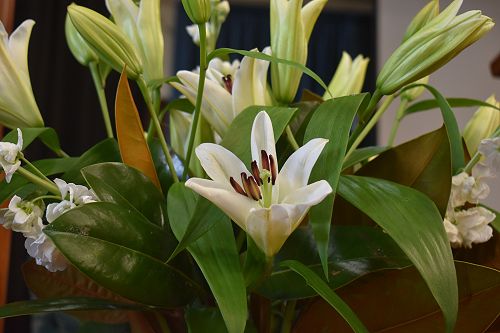 Junior School Spring Service