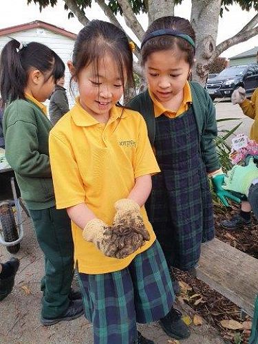 Arbor Day Planting - Room 11 and Beaver Tree Service. 