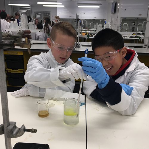 Home Cobham Intermediate School