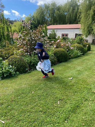 Grandma's bloomer obstacle course