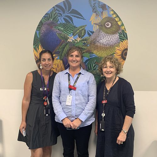 Meet the IBD Clinical Nurses Specialists for Capital & Coast, Wellington.