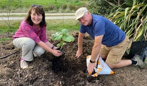 Nicola Brown and Tony Brown (no relation) from Wanaka Rotary hard at work with a new pumpkin patch.