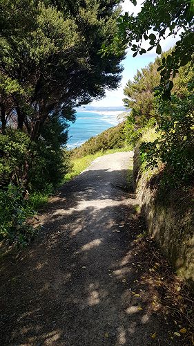 OED201 Mangawhai Walk