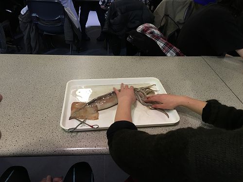 13 Biology Field Trip