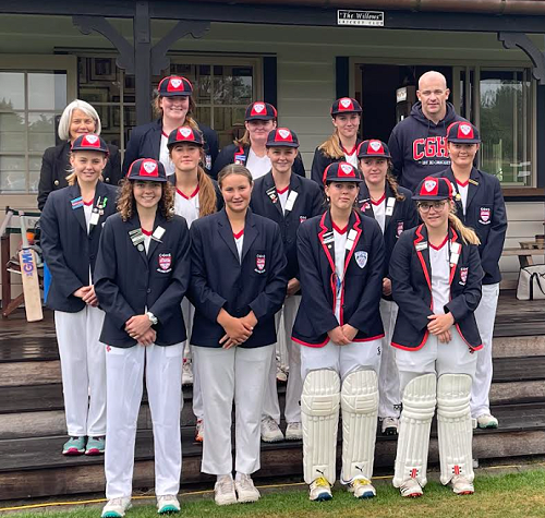 Willows Cricket Game