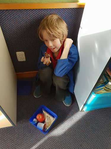 Villa Maria Lunches - 2018