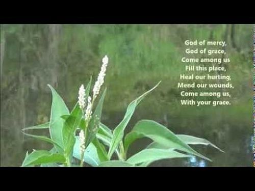 Video: WITH YOUR GRACE - Gina Ogilvie & Monica O'Brien