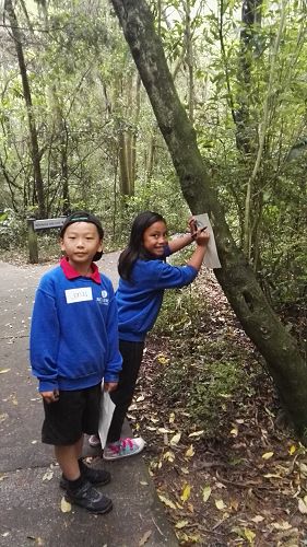 Riccarton House & Riccarton Bush - Team Harakeke - 2017