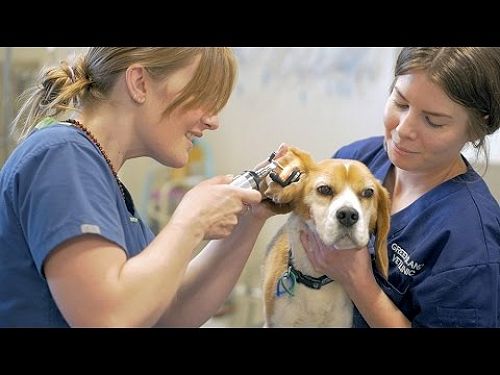 Our Difference: Continuing Education for all Staff