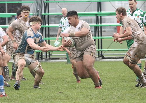 1st XV v St Patrick’s College, Silverstream – Wednesday 2 September