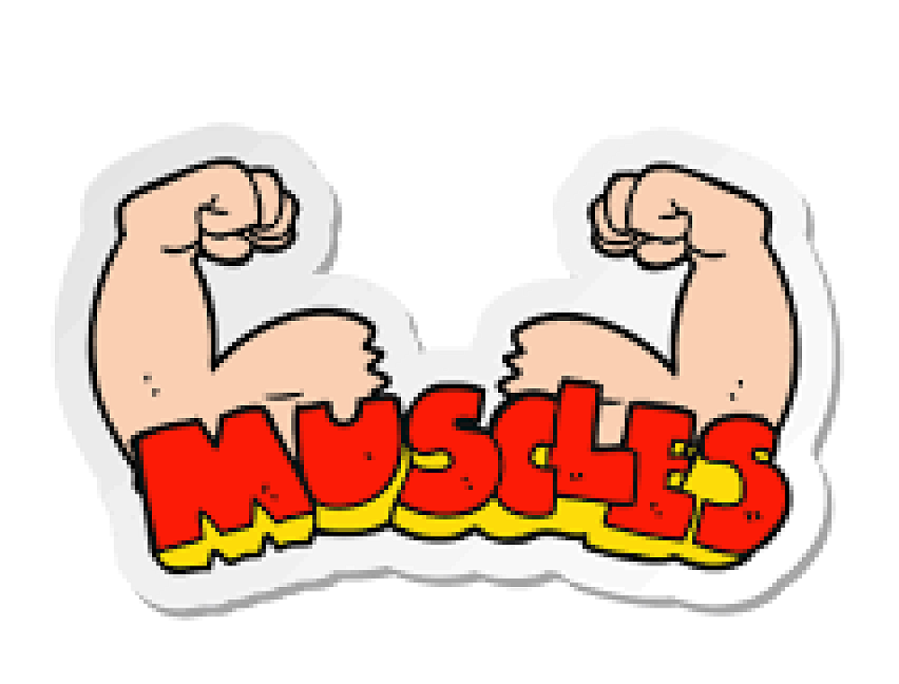 Help Needed — Yaldhurst Model School Newsletter Tuesday 27 September 2022