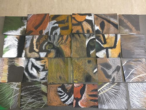 Year 9 Challenge Week 2022