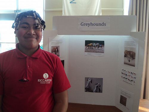 Golden Key Mentoring Presentation