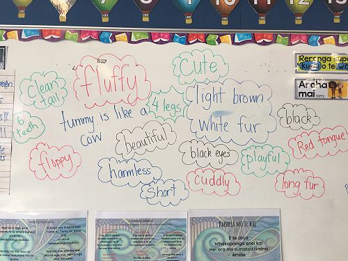 Our descriptive words