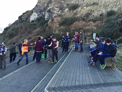 Planting for Penguins