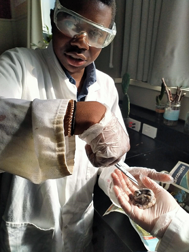 A closer look with Frank in Science