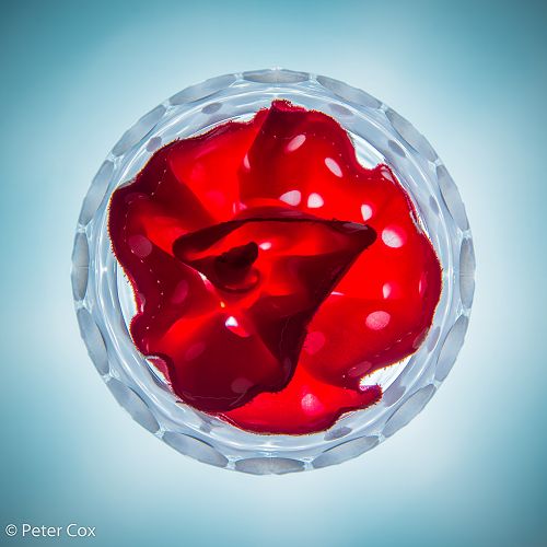 Peter Cox - After 3 Photography class