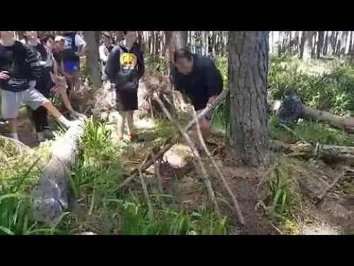 Video: Activities Week 2