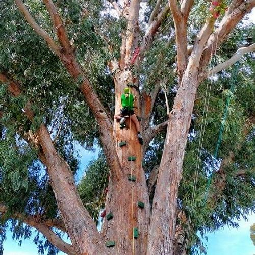 2021 Year 10 Camp at Hanmer Springs