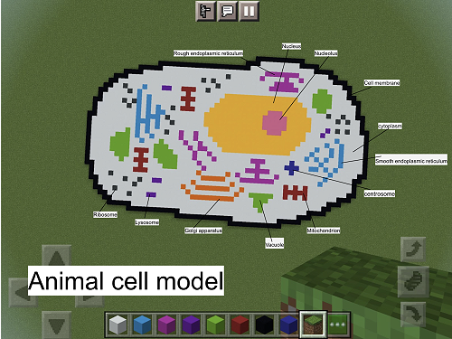 Biology Cell Competition