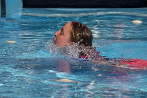 CAS Swimming Sports 2022