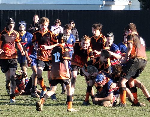 2016 RUGBY UNDER 13