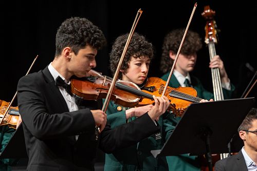 Chamber Orchestra